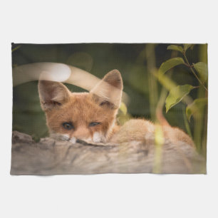 Paño De Cocina Foto de un Pequeño Fox