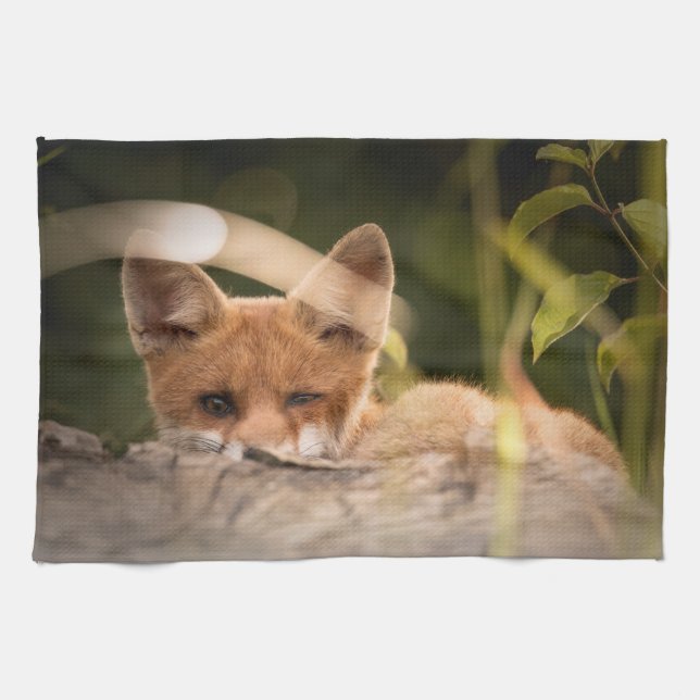 Paño De Cocina Foto de un Pequeño Fox (Horizontal)