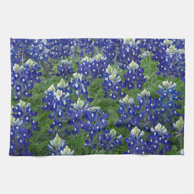 Paño De Cocina Foto del campo de los Bluebonnets de Tejas (Horizontal)