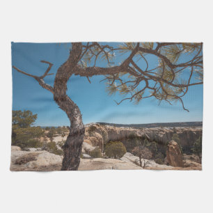 Paño De Cocina Foto del paisaje de Nuevo México