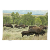 Fotografía de animales de la naturaleza de Wyoming