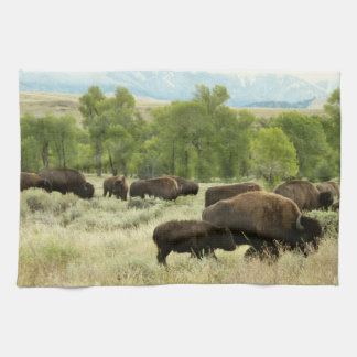 Paño De Cocina Fotografía de animales de la naturaleza de Wyoming