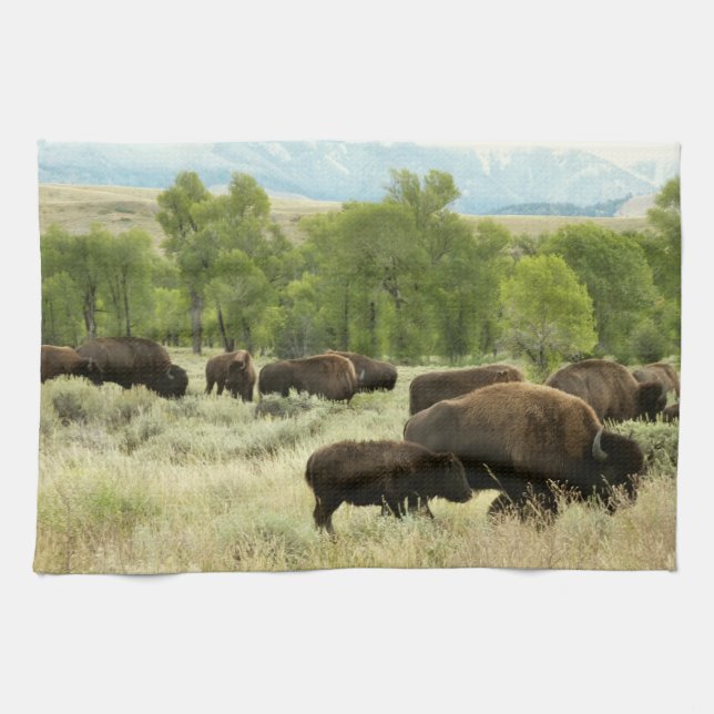 Paño De Cocina Fotografía de animales de la naturaleza de Wyoming (Horizontal)