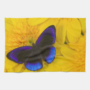 Paño De Cocina Fotografía de Mariposa
