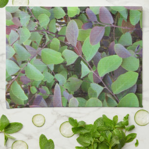 Paño De Cocina Fotografía de ramas de hojas rojas y verdes