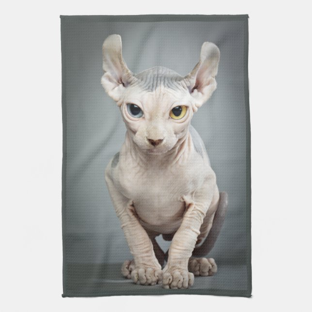 Paño De Cocina Fotografía del gato de la esfinge del duende (Vertical)