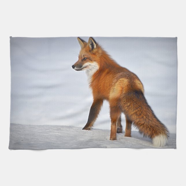 Paño De Cocina Fox roja en nieve de invierno (Horizontal)