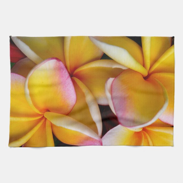 Paño De Cocina Frangipani hawaiano (Horizontal)