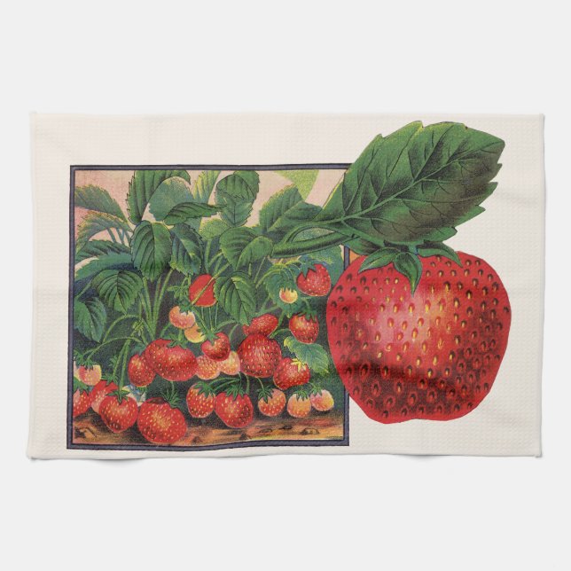 Paño De Cocina Fresas de época, fresas en una granja (Horizontal)