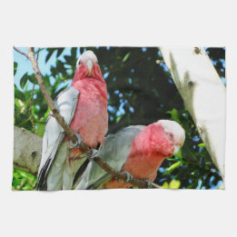 Paño De Cocina Galah (Cockatoo color de rosa de Breasted)