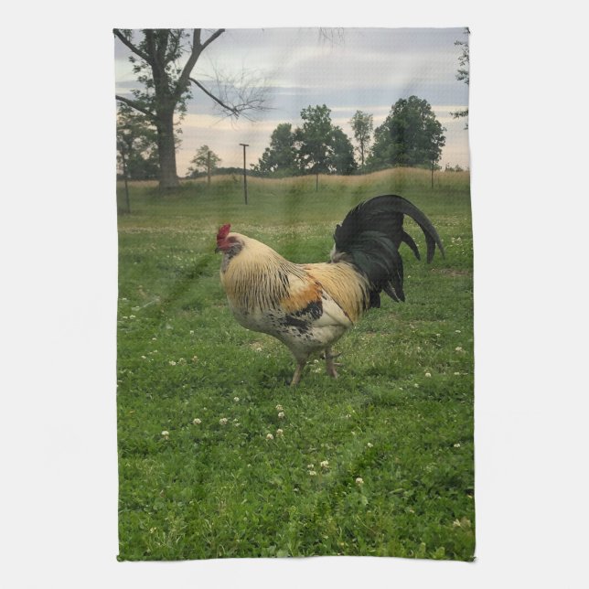 Paño De Cocina Gallo Pollo en la Granja  (Vertical)
