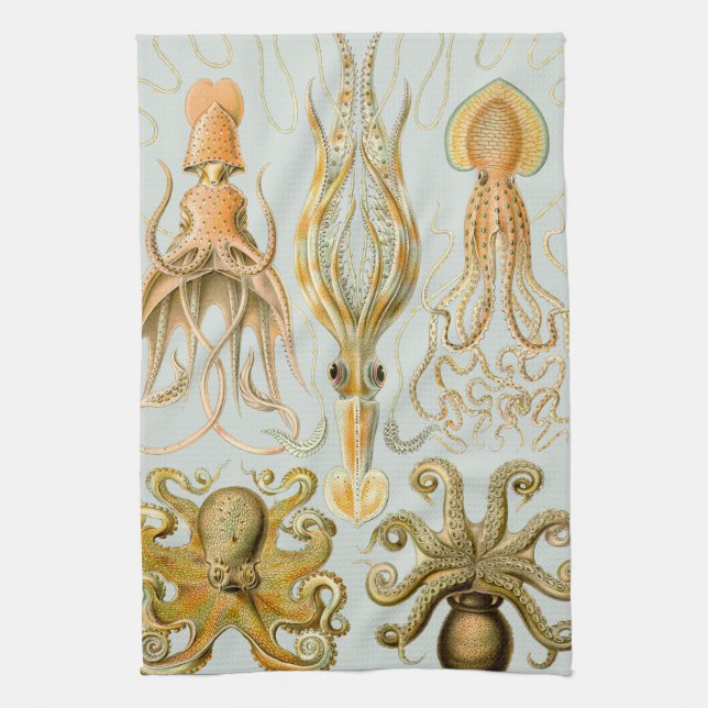 Paño De Cocina Gamochonia de Ernst Haeckel (Vertical)