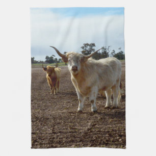 Paño De Cocina Ganado vacuno suelto: Heredero de trigo de vacas d