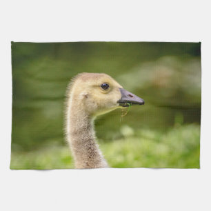 Paño De Cocina Ganso Canadiense (Gosling)