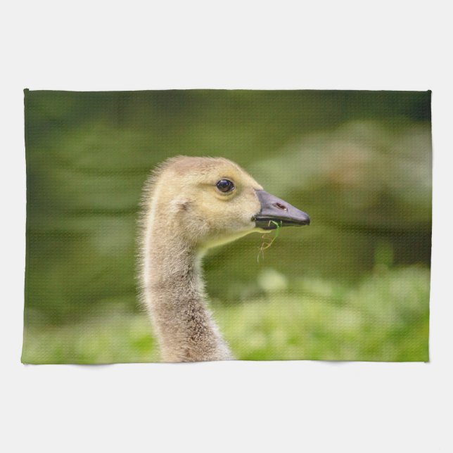 Paño De Cocina Ganso Canadiense (Gosling) (Horizontal)