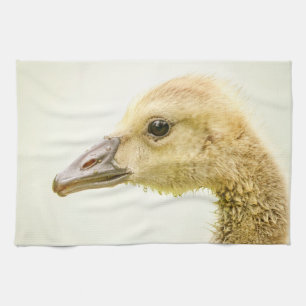 Paño De Cocina Ganso Canadiense (Gosling)