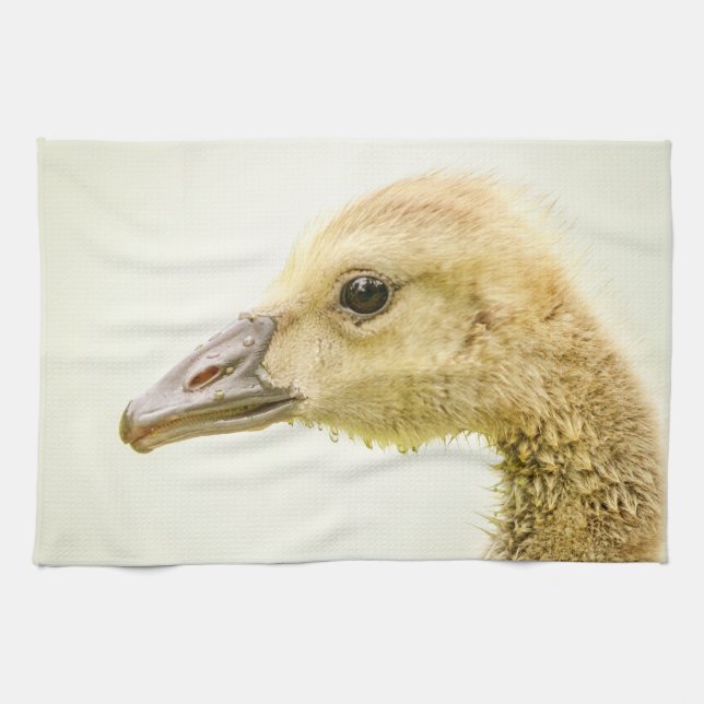 Paño De Cocina Ganso Canadiense (Gosling) (Horizontal)
