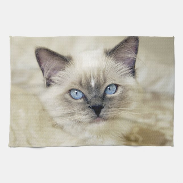 Paño De Cocina Gatito Ragdoll (Horizontal)