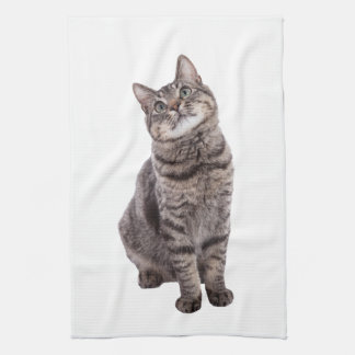 Paño De Cocina Gato de tabla de corte