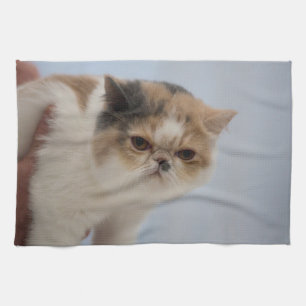 Paño De Cocina Gato gruñón de la cara