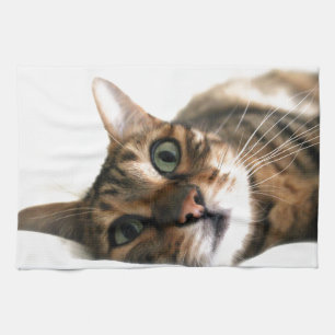 Paño De Cocina Gato lindo de Bengala en imagen de la cama