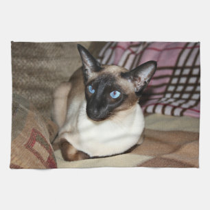 Paño De Cocina Gato siamés que se relaja en el sofá
