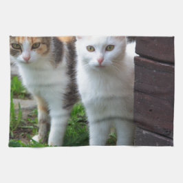 Paño De Cocina Gatos jugando afuera