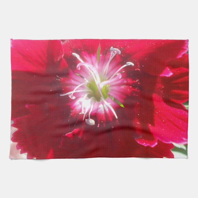 Paño De Cocina Geertje (Horizontal)