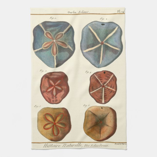 Paño De Cocina Gemas de los dólares de arena (Vertical)