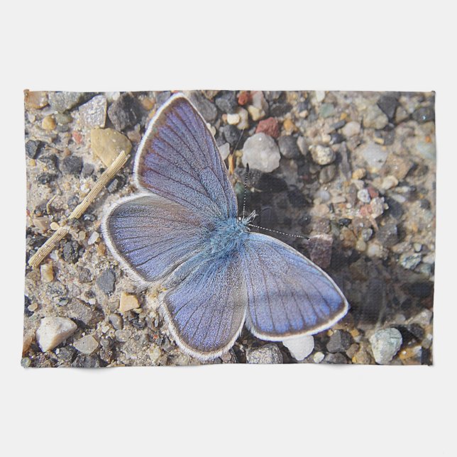 Paño De Cocina Geschirrtuch blauer Schmetterling (Horizontal)