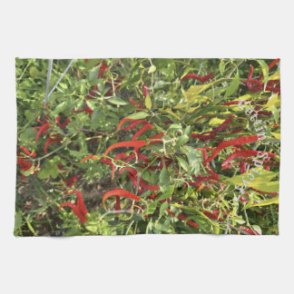 Paño De Cocina Gettin' Spicy 