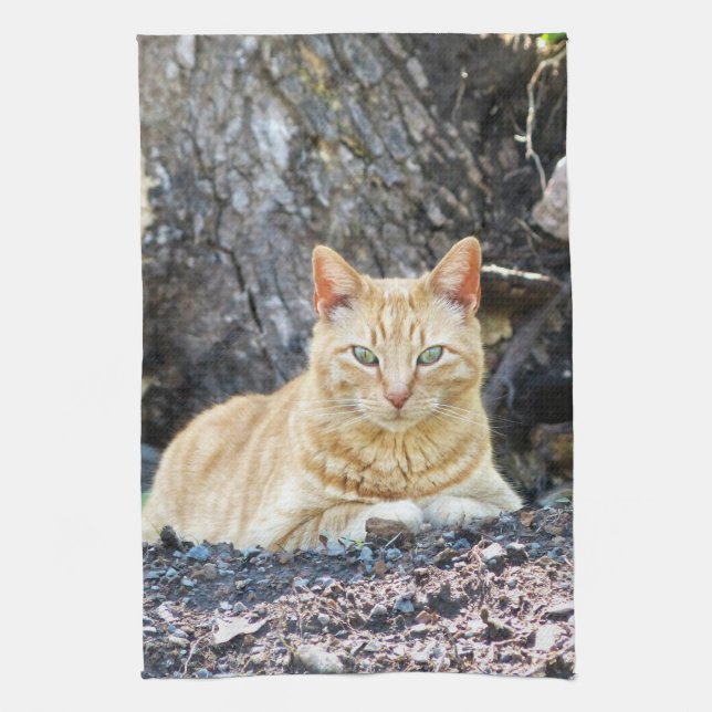 Paño De Cocina Ginger Boy (Vertical)