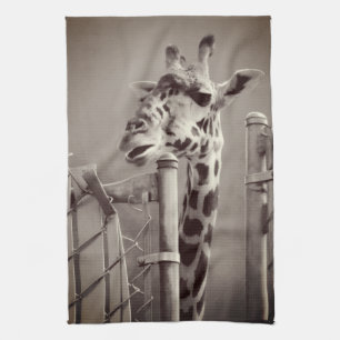 Paño De Cocina Giraffe Fotografía - Estilo de época