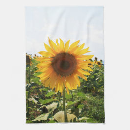 Paño De Cocina Girasol italiano