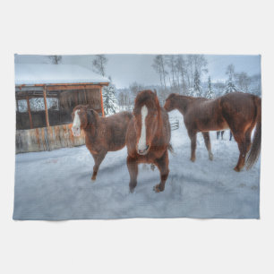 Paño De Cocina Gracioso Stallion Amoroso y reticentes caballos ma