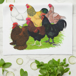 Paño De Cocina Gran variedad de gallos