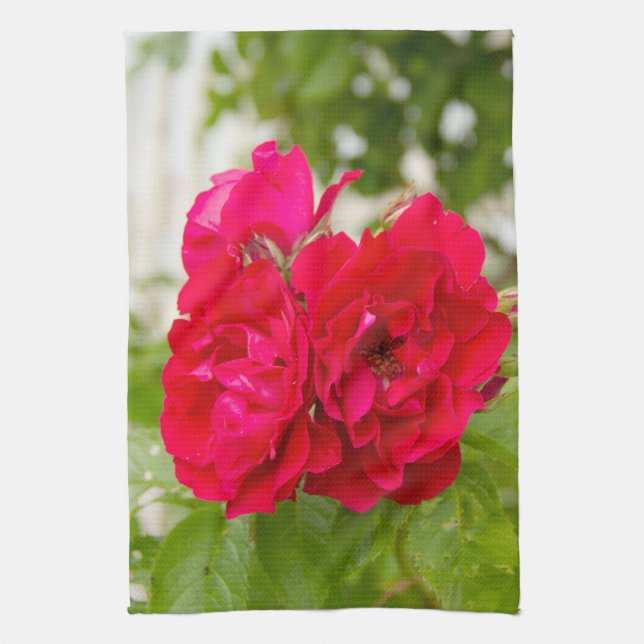 Paño De Cocina Grandes rosas rojas en el jardín (Vertical)