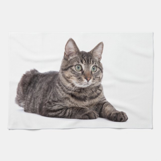 Paño De Cocina Gray Tabby Cat (Horizontal)