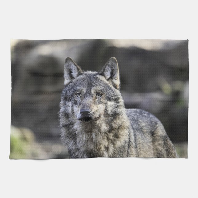 Paño De Cocina Gray Wolf (Horizontal)