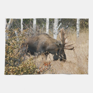 Paño De Cocina Grazing Bull Moose
