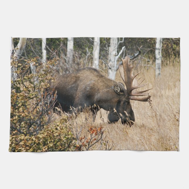 Paño De Cocina Grazing Bull Moose (Horizontal)