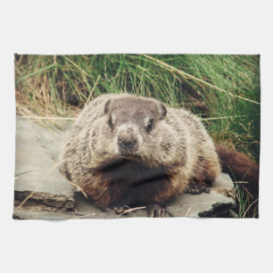 Paño De Cocina Groundhog
