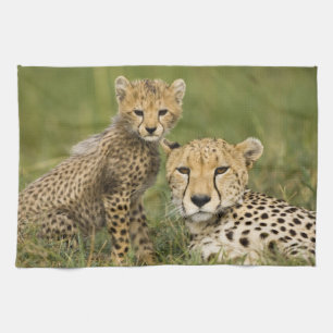 Paño De Cocina Guepardo, Acinonyx jubatus, con cría