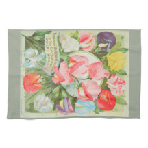 Guisantes de olor: ilustracion del catálogo de