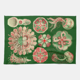 Paño De Cocina Haeckel Marine Jellyfish Ilustracion rojo y verde