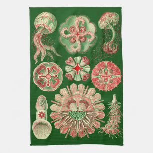 Paño De Cocina Haeckel Marine Jellyfish Ilustracion rojo y verde