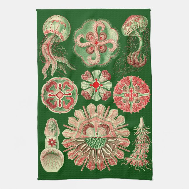 Paño De Cocina Haeckel Marine Jellyfish Ilustracion rojo y verde (Vertical)