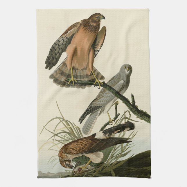 Paño De Cocina Halcón pantanoso de los pájaros de América de Audu (Vertical)
