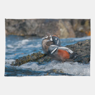 Paño De Cocina Harlequin Duck en el océano