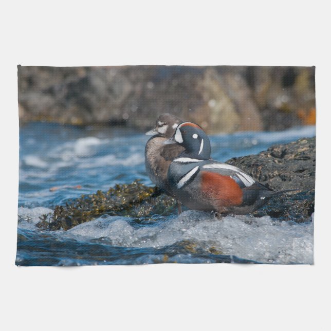 Paño De Cocina Harlequin Duck en el océano (Horizontal)
